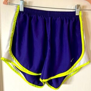 Nike DriFit Shorts